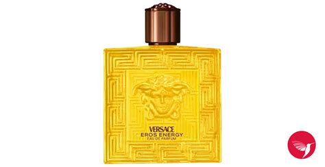 nouveau parfum versace|versace perfume online shop.